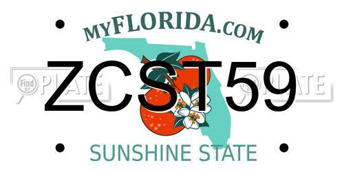 ZCST59 Florida License Plate