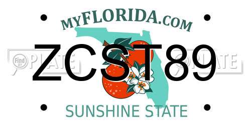 ZCST89 Florida License Plate