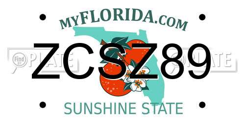 ZCSZ89 Florida License Plate