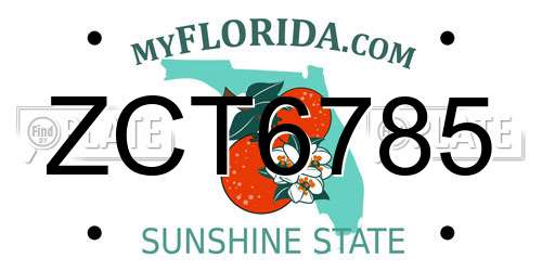 ZCT6785 Florida License Plate