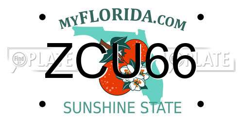 ZCU66 Florida License Plate