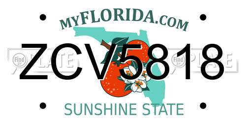 ZCV5818 Florida License Plate