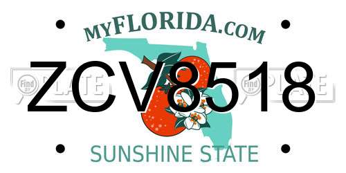 ZCV8518 Florida License Plate