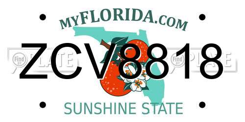 ZCV8818 Florida License Plate