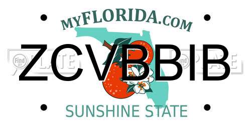 ZCVBBIB Florida License Plate