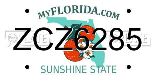 ZCZ6285 Florida License Plate