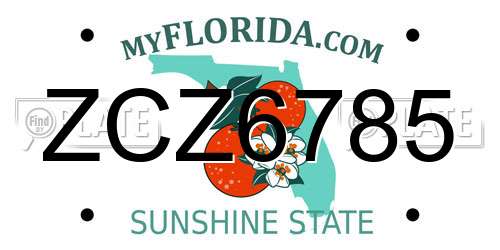 ZCZ6785 Florida License Plate