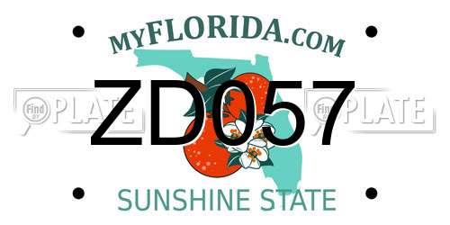 ZD057 Florida License Plate