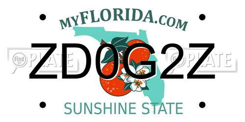 ZD0G2Z Florida License Plate