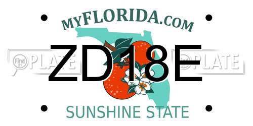 ZD18E Florida License Plate