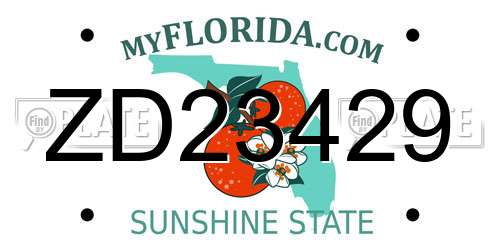 ZD23429 Florida License Plate