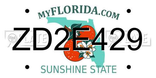 ZD2E429 Florida License Plate