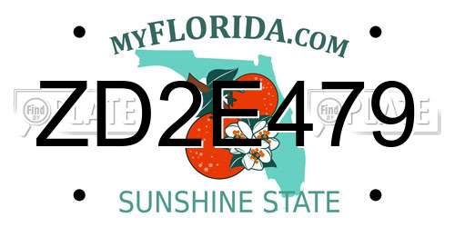 ZD2E479 Florida License Plate