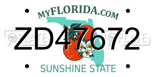 ZD47672 Florida License Plate