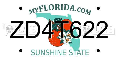 ZD4T622 Florida License Plate