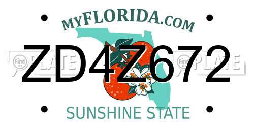 ZD4Z672 Florida License Plate