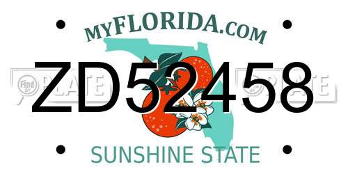 ZD52458 Florida License Plate