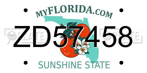 ZD57458 Florida License Plate