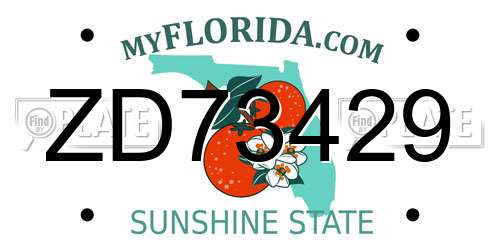 ZD73429 Florida License Plate