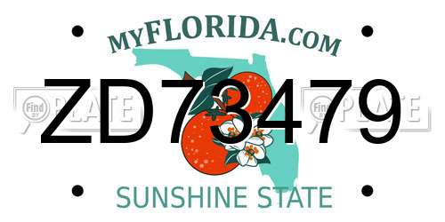 ZD73479 Florida License Plate