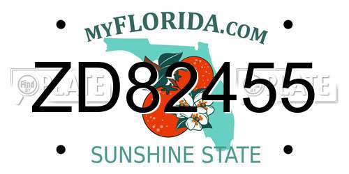 ZD82455 Florida License Plate