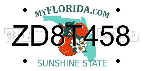 ZD8T458 Florida License Plate
