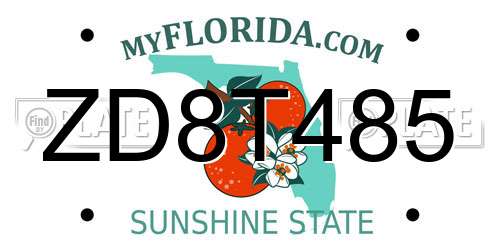 ZD8T485 Florida License Plate
