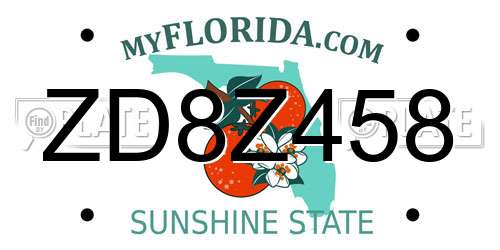 ZD8Z458 Florida License Plate