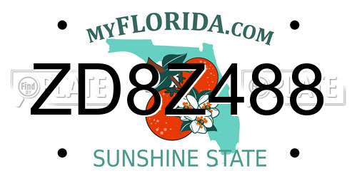 ZD8Z488 Florida License Plate