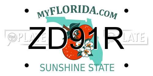 ZD91R Florida License Plate