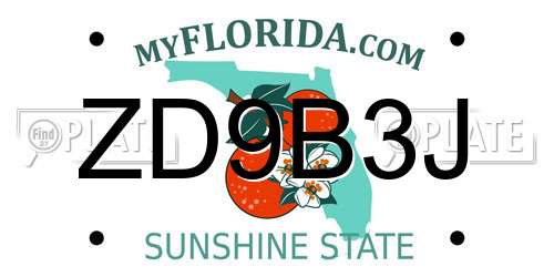 ZD9B3J Florida License Plate