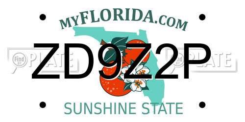ZD9Z2P Florida License Plate