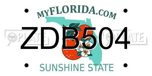 ZDB504 Florida License Plate
