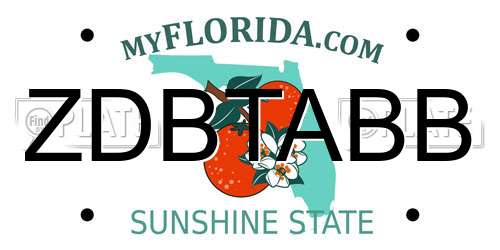 ZDBTABB Florida License Plate