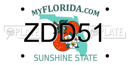 ZDD51 Florida License Plate