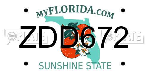ZDD672 Florida License Plate