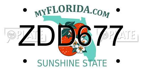 ZDD677 Florida License Plate