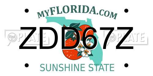 ZDD67Z Florida License Plate