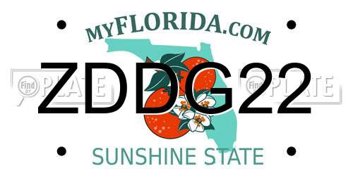 ZDDG22 Florida License Plate