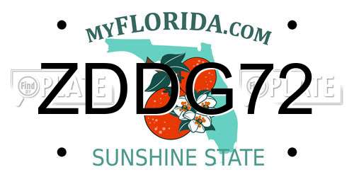ZDDG72 Florida License Plate