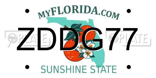 ZDDG77 Florida License Plate