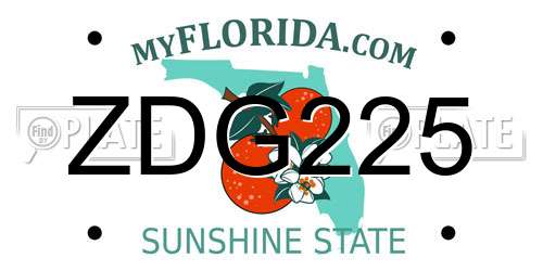 ZDG225 Florida License Plate