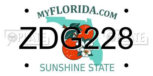 ZDG228 Florida License Plate