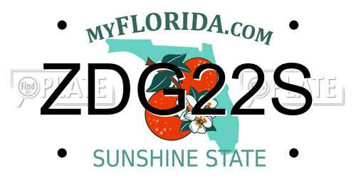 ZDG22S Florida License Plate