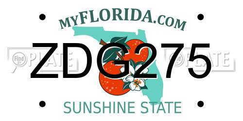 ZDG275 Florida License Plate