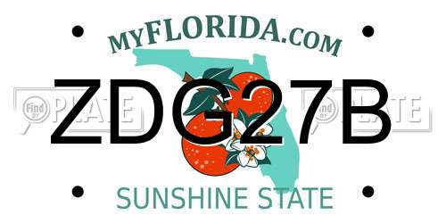 ZDG27B Florida License Plate