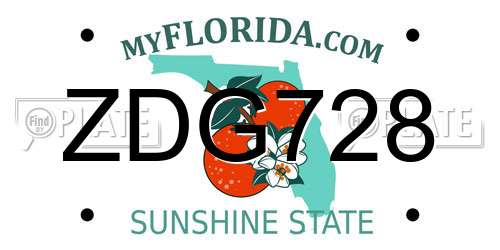 ZDG728 Florida License Plate