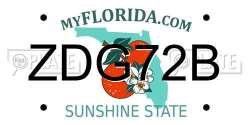 ZDG72B Florida License Plate
