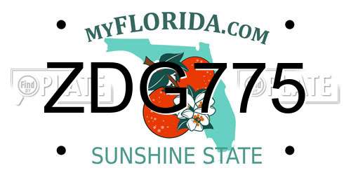 ZDG775 Florida License Plate