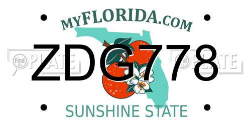 ZDG778 Florida License Plate